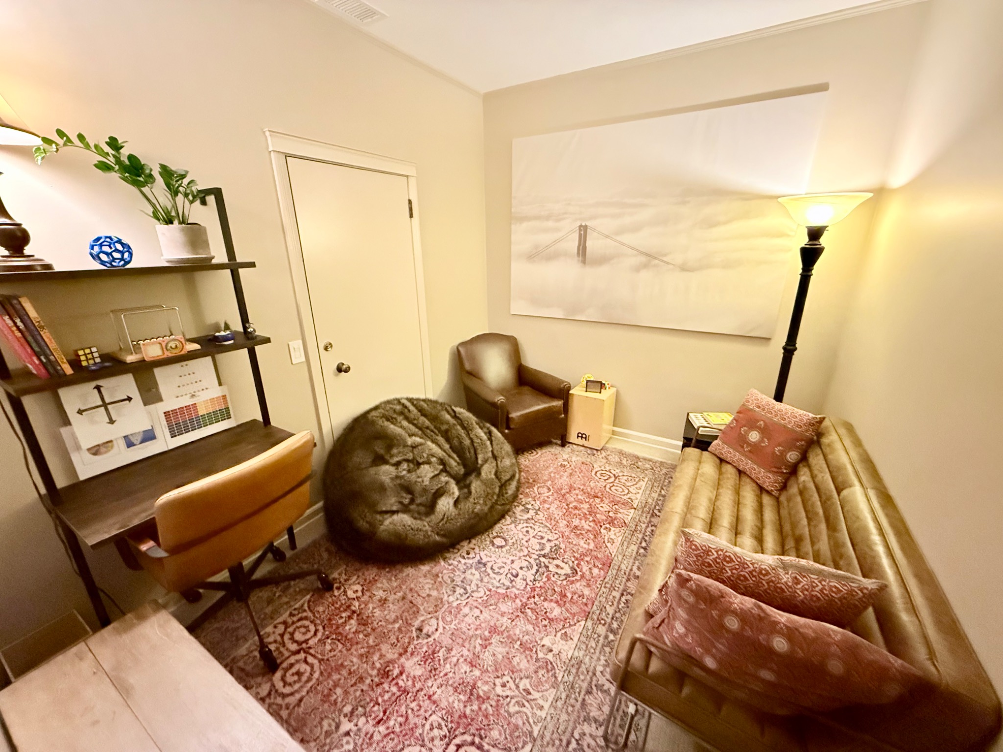 Warm therapy room with rug and lamp