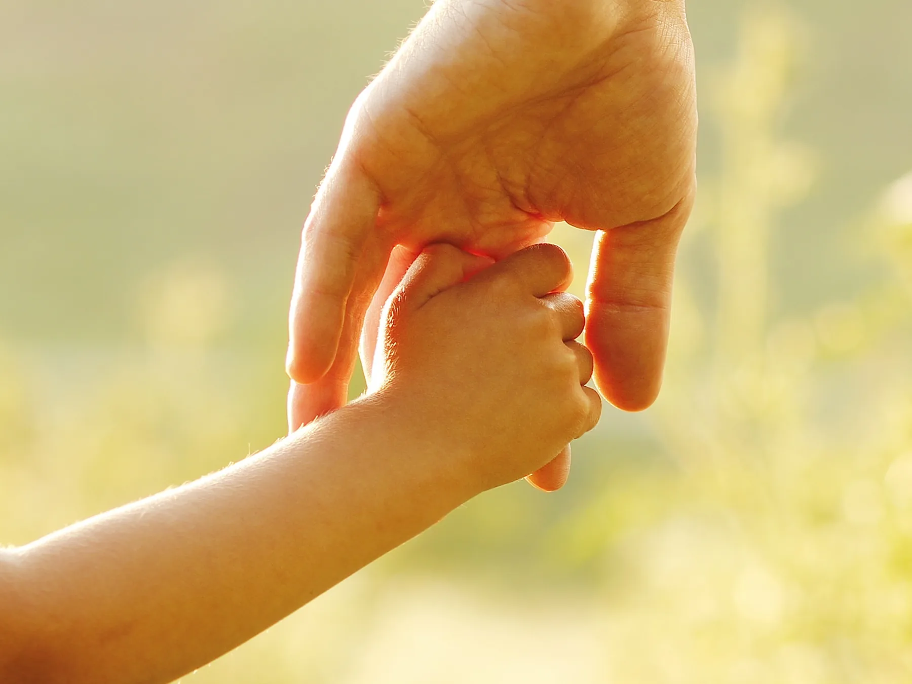 A parent's hand gently holding a child's hand in a sunlit field