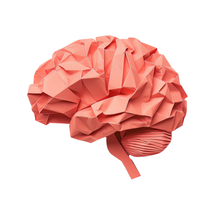 Paper brain — Grow